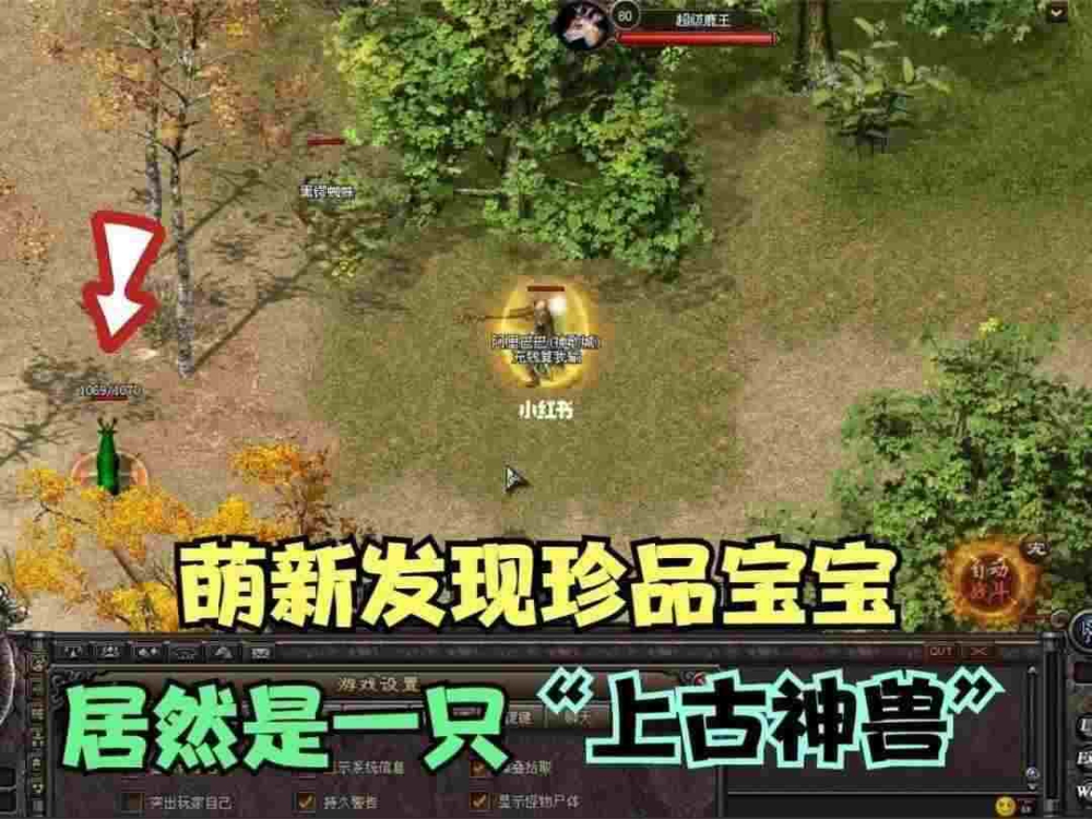 刚开一秒传奇sf123之热血传奇小菜一碟怎么打